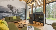 Cottage Exclusive AG1432 à Center Parcs Park Allgäu