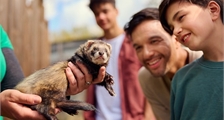 A la découverte du Cœur Animalier à Center Parcs Le Bois aux Daims