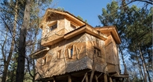 Boomhuis BD401 in Center Parcs Le Bois aux Daims