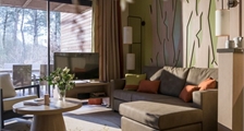 VIP cottage BD451 in Center Parcs Le Bois aux Daims