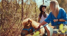 Ponyrijden in Center Parcs Le Bois aux Daims