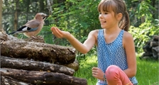 Ontdek de Vogels in Center Parcs Le Bois aux Daims
