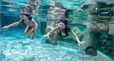 Duik Introductie in Center Parcs Le Bois aux Daims