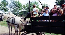 Center Parcs Excursie: Op een paardenkoets in Center Parcs Les Bois-Francs