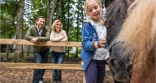 Pony verzorgen in Center Parcs Les Bois-Francs