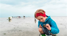 Academy: Wadlopen in UNESCO-Wereldnatuurerfgoed in Center Parcs Park Nordseeküste