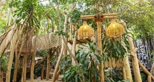 Jungle Dome à Center Parcs Het Heijderbos