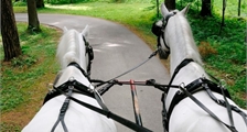 Excursions Center Parcs : Balade en roulotte à Center Parcs Het Heijderbos