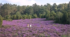 Center Parcs Excursies in Center Parcs Limburgse Peel