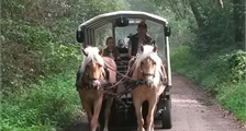 Excursions Center Parcs : Balade en roulotte à Center Parcs Het Meerdal