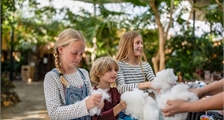 Kids Workshop: Maak je eigen knuffel in Center Parcs Port Zélande