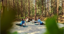Workshop en bonne forme: yoga pour débutan à Center Parcs Terhills Resort