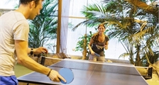 Tennis de table à Center Parcs Terhills Resort