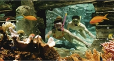 Aqua Mundo activiteiten in Center Parcs De Vossemeren