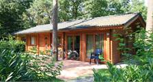 Chalet Boekhorst-6 à EuroParcs Limburg