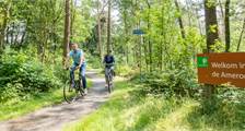 Omgeving activiteiten in Landal Amerongse Berg