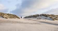 Omgeving faciliteiten in Landal Ameland State