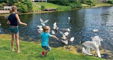 Kids faciliteiten in Landal Beach Park Texel