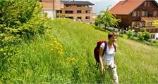 Sport en spel faciliteiten in Landal Chalet Matin