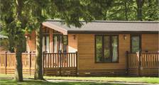 Chalet - Haddon Classic Skyline 1 2C1 in Darwin Forest