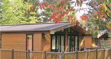 Chalet - Haddon Classic Skyline 3 6C2 in Darwin Forest