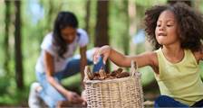 Kids faciliteiten in Darwin Forest