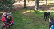 Met uw hond faciliteiten in Darwin Forest