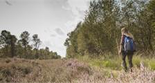 Omgeving faciliteiten in Landal Dwergter Sand