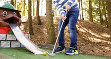 Sport en spel faciliteiten in Landal Dwergter Sand