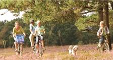 Vakantie met hond faciliteiten in Landal Dwergter Sand