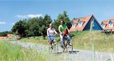 Wandelen en fietsen faciliteiten in Landal Dwergter Sand