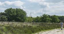 Omgeving activiteiten in Landal De Hellendoornse Berg
