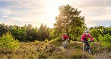 Wandelen en fietsen faciliteiten in Landal Hunerwold State