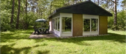 4-persoons bungalow 4CE in Landal Heideheuvel
