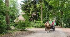 Omgeving activiteiten in Landal Het Land van Bartje