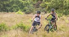 Wandelen en fietsen activiteiten in Landal Het Land van Bartje