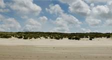 Omgeving faciliteiten in Landal Livingstone