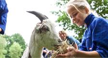 Kids activiteiten in Landal Miggelenberg
