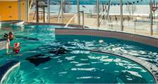Zwemmen activiteiten in Landal Marina Lipno