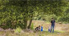 Wandelen en fietsen activiteiten in Landal Orveltermarke