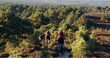 Wandelen en fietsen activiteiten in Landal Piperdam