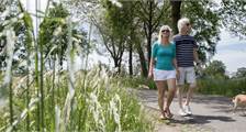 Wandelen en fietsen faciliteiten in Landal Twenhaarsveld
