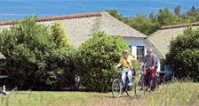 Wandelen en fietsen activiteiten in Roompot De Veluwse Hoevegaerde