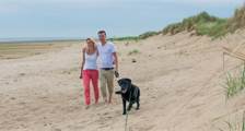 Wandelen en fietsen faciliteiten in Landal Vogelmient