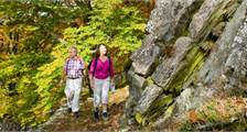 Wandelen en fietsen activiteiten in Landal Wirfttal