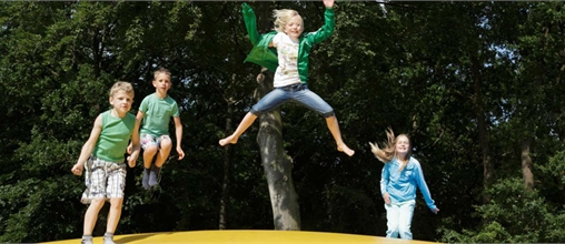Molecaten 't Hout