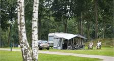 Kampeerplaats 766 in Oostappen De Berckt
