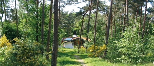 Herperduin