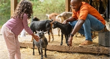 La ferme pour enfants à Sunparks Kempense Meren
